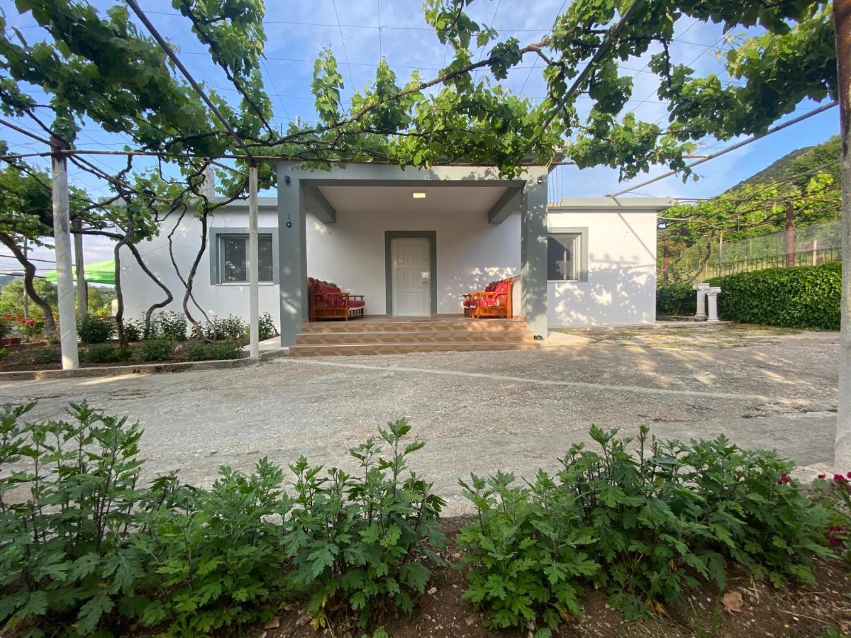 Progon House Hotel Tepelene Exterior photo